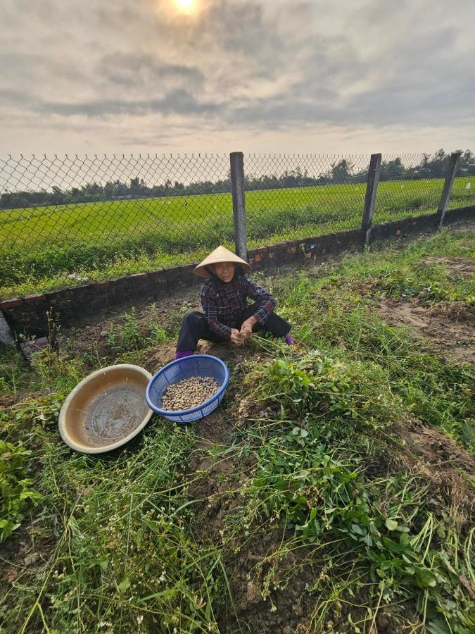 My Anh Boutique Villa Hội An Buitenkant foto